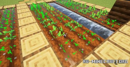  Big Pony  Minecraft 1.21.4