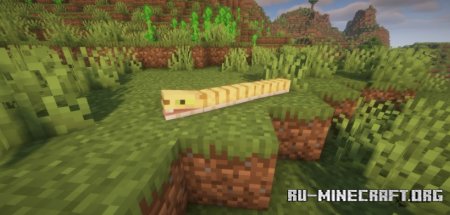  Toms Mobs  Minecraft 1.21.4