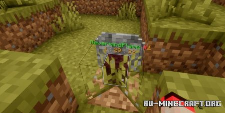  SGrave  Minecraft 1.21.4