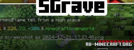  SGrave  Minecraft 1.21.4