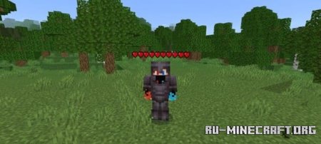      Minecraft PE 1.21