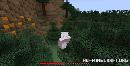  Sneaky Screens  Minecraft 1.21.4