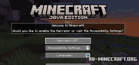  Disable Accessibility Screen  Minecraft 1.21.4