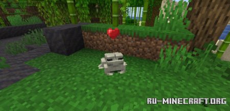  Pet The Frog  Minecraft 1.21.4