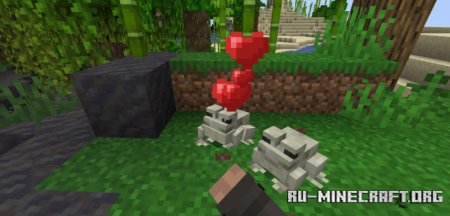  Pet The Frog  Minecraft 1.21.4