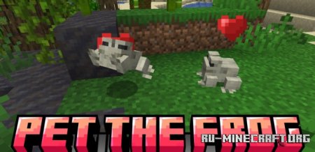  Pet The Frog  Minecraft 1.21.4