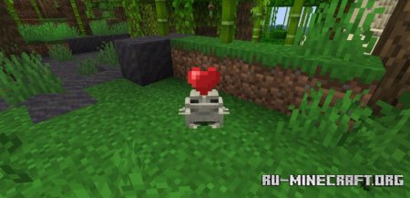  Pet The Frog  Minecraft 1.21.4