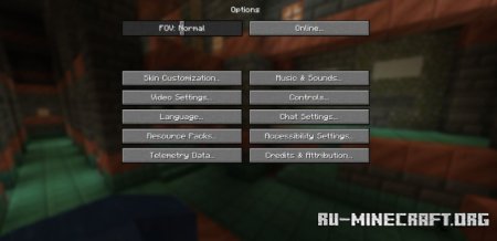  Option Focus Fix  Minecraft 1.21.4