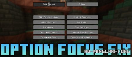  Option Focus Fix  Minecraft 1.21.4