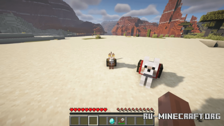  Chested Companions  Minecraft 1.21.4