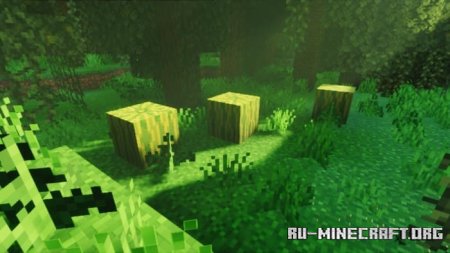     Minecraft PE 1.21