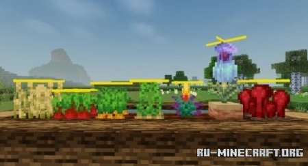     Minecraft PE 1.21