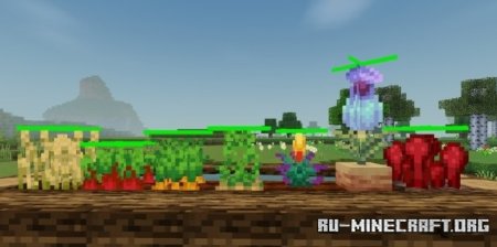     Minecraft PE 1.21