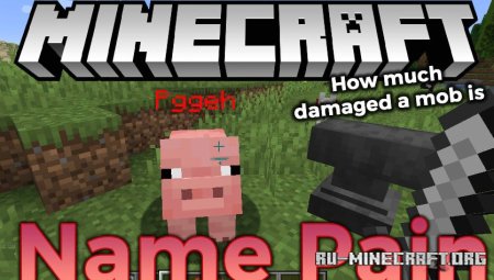  Name Pain  Minecraft 1.21.4