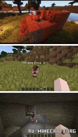  Roamers  Minecraft 1.21.4