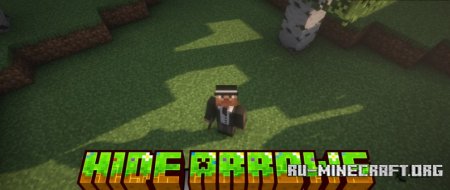  Hide Arrows  Minecraft 1.21.4