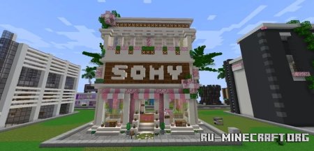  Flower shop Somy  Minecraft