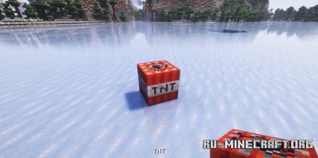  TNT Timer  Minecraft 1.21.4