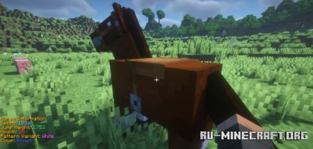  Animal Info  Minecraft 1.21.4