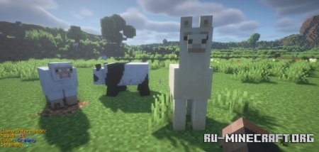  Animal Info  Minecraft 1.21.4