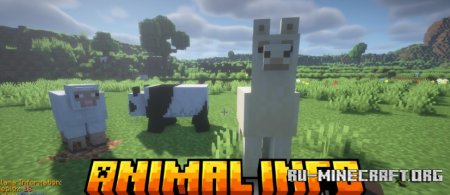  Animal Info  Minecraft 1.21.4