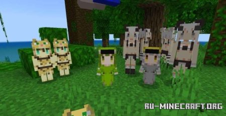      Minecraft PE 1.21