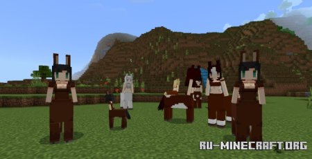      Minecraft PE 1.21