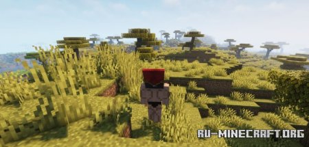  Wavey Capes  Minecraft 1.21.4