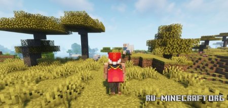  Wavey Capes  Minecraft 1.21.4