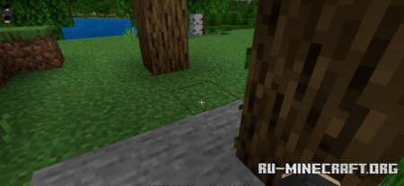      Minecraft PE 1.21