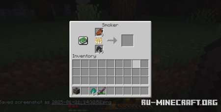  Zombie Jerky  Minecraft 1.21.1