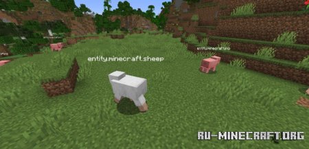  Fancy Clear  Minecraft 1.21.4