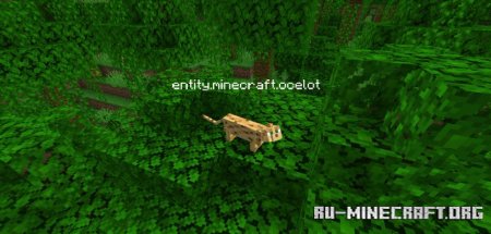  Fancy Clear  Minecraft 1.21.4