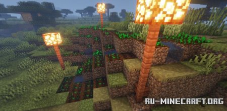  Crops Love Rain  Minecraft 1.21.4