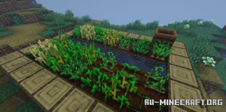  Crops Love Rain  Minecraft 1.21.4