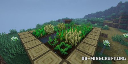  Crops Love Rain  Minecraft 1.21.4