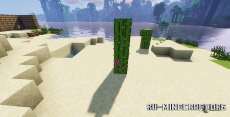  Remodeled Cactus  Minecraft 1.21.4