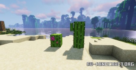  Remodeled Cactus  Minecraft 1.21.4