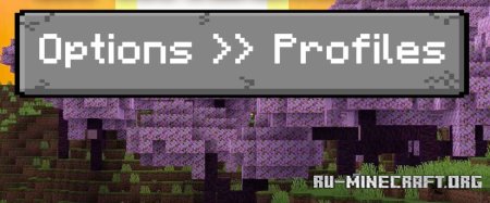  Options Profiles  Minecraft 1.21.4