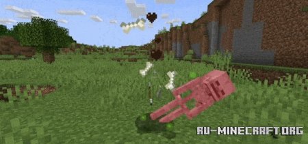    Minecraft PE 1.21