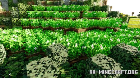  Overgrown  Minecraft PE 1.21