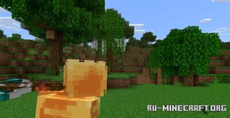     Minecraft PE 1.21