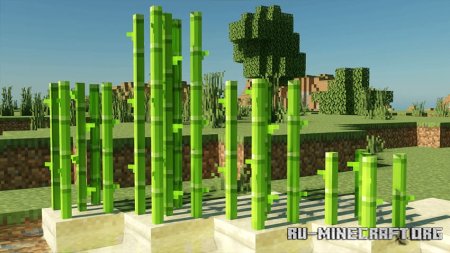  3D    Minecraft PE 1.21