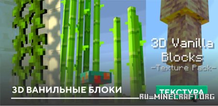  3D    Minecraft PE 1.21