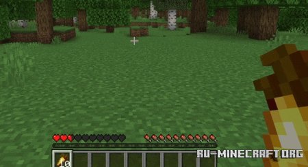      Minecraft PE 1.21