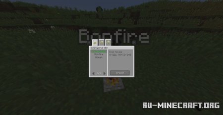  Bonfires  Minecraft 1.21.4