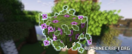  Particle Interactions  Minecraft 1.21.4