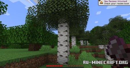  O-Peepos Timber  Minecraft 1.21.4