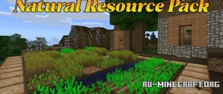 Скачать Natural Resource для Minecraft 1.21