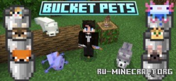       Minecraft PE 1.21